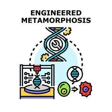 Engineered metamorphosis genetic modification changing organism dna Illustrazione stock