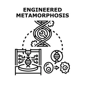 Engineered metamorphosis genetic modification changing organism dna Illustrazione stock