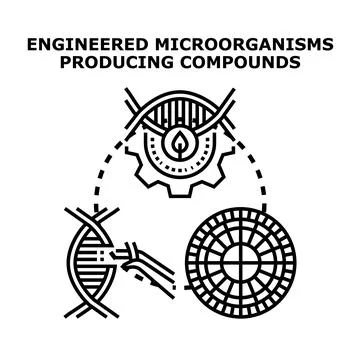 Engineered microorganisms involve genetic modification Illustrazione stock