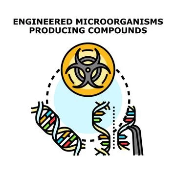 Engineered microorganisms producing biological compounds biotechnology concep Illustrazione stock