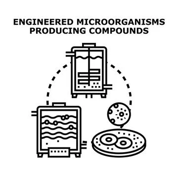 Engineered microorganisms producing valuable biocompounds and substances Illustrazione stock