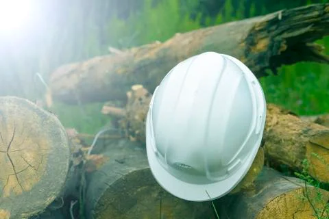 Engineering helmet on the logs. Logging Stock Photos
