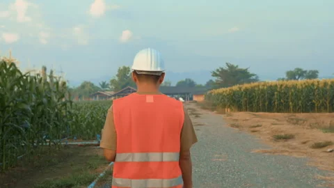 Engineering man checking corn farm with tablet on field,High technology innov Stock Footage 170511948