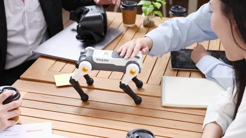 Engineering Students Testing Robotic Dog Prototype on Wooden Table Stock Footage 345461465