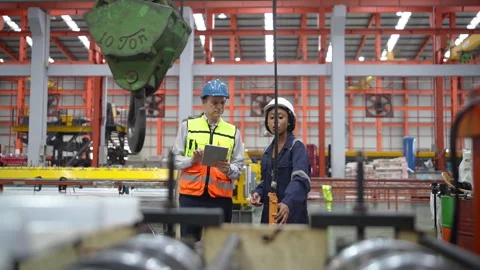 Engineers Conducting Quality Control Audit in Industrial Factory Stock Footage 343311052