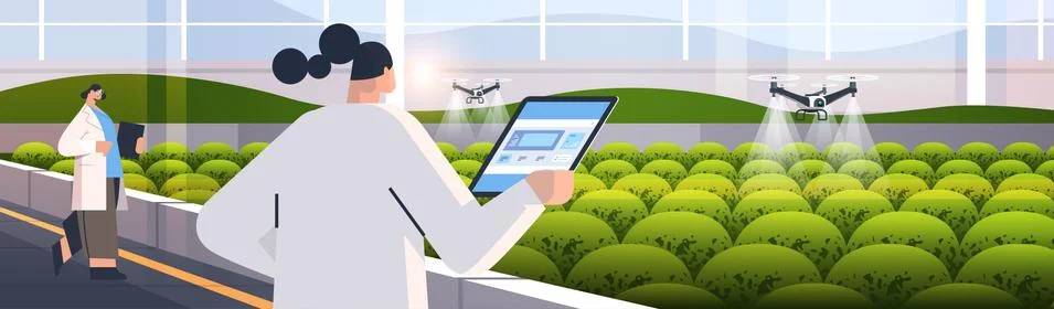 Engineers controlling agricultural drones sprayers quad copters flying to spray Stock Illustration