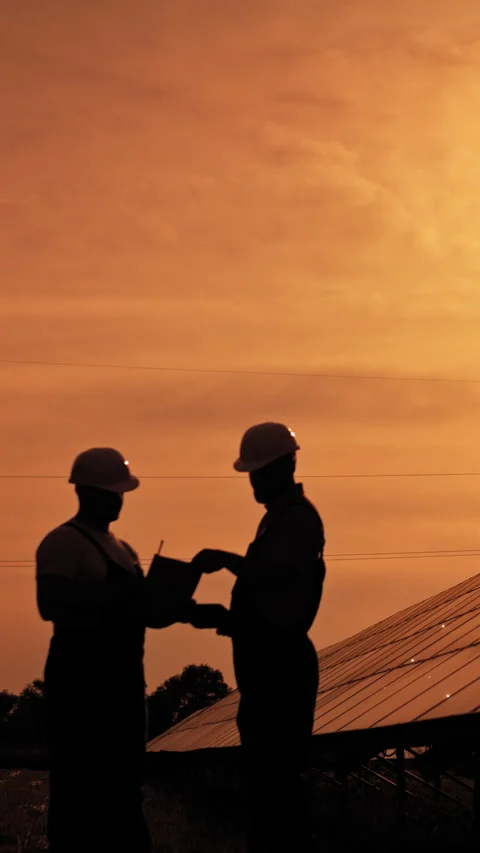 Engineers Discuss Solar Panel Project Stock Footage 317185186