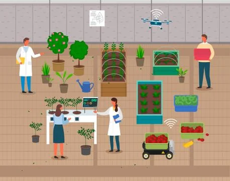 Engineers or scientists control process of growing eco plants, urban agriculture Stock Illustration