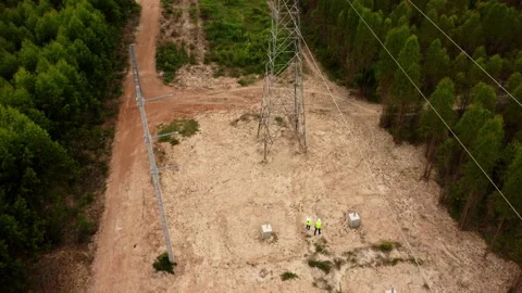 Engineers out in the field examine eucalyptus forests with records for research. Stock Footage 219732177