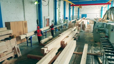 Engineers work with wood at a factory, stacking timber. Stock Footage