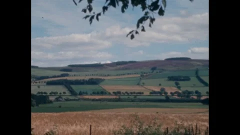 England 1960s: A patchwork of green and gold farmland stretches across rolling Vídeos de archivo 258141981