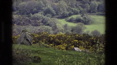 Come See Movie Stock Videos – Royalty-Free HD & 4K Videos