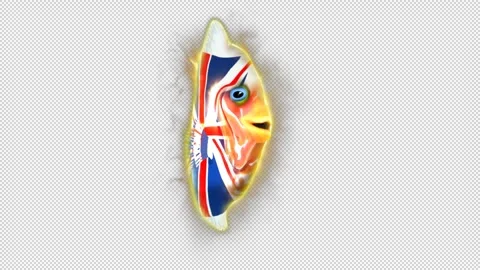 England alpha Stock Footage 259838238