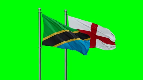 England and Tanzania flags Stock Footage 292819626