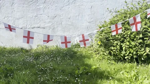 England Bunting in the Wind | Atmosphere Stock Footage 336613833