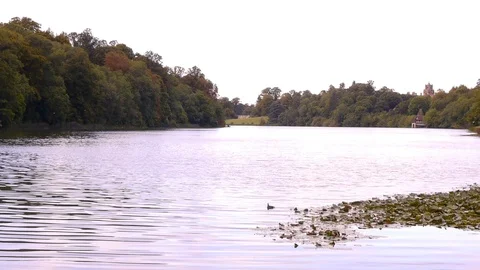 ENGLAND  CIRCA 2011: Howard Castle lake. Video stock 99641746