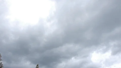 ENGLAND  CIRCA 2011: Tilt down to gardens and Penshurst Place Castle. Stock Footage 99628631