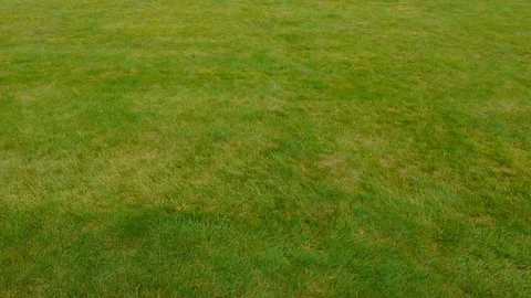 ENGLAND  CIRCA 2011: Tilt up to large english house. Video stock 99620063