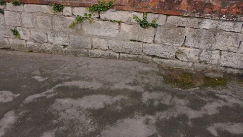 ENGLAND  CIRCA 2011: Tilt up to an old english church. Video stock 99624688