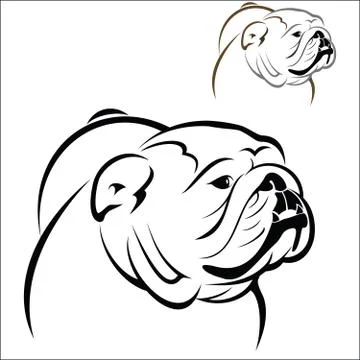 English Bulldog  Stock Illustration