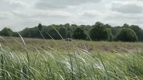 English countryside Stock Footage 10728873