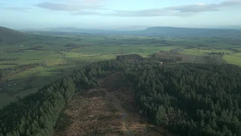 English countryside forest and patchwork fields at Beacon Fell Country Stock Footage 232644975