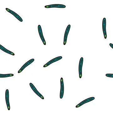 English cucumber vector seamless pattern Stock Illustration