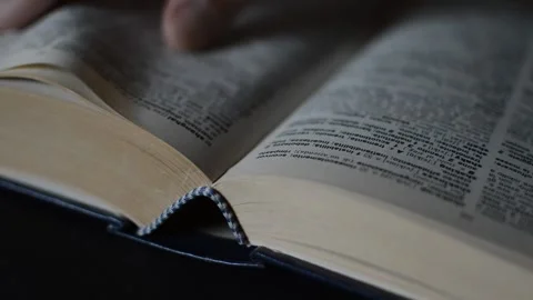 English dictionary for language study. caucasian student read dictionary. Video stock 239319986