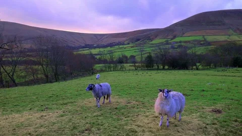 English Easter scene, in Edale Valley, Derbyshire. Stock Footage 321466852
