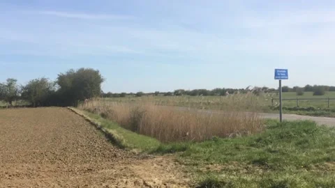 English fields and hedgerows Stock Footage 153929497