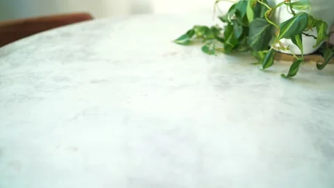 English High Tea Inspired Setup 1/16 Stock Footage 167051572