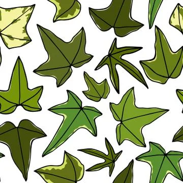 English ivy pattern Stock Illustration