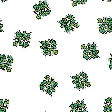 English ivy vector seamless pattern Stock Illustration