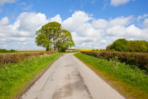 English landscape in springtime Stock Photos