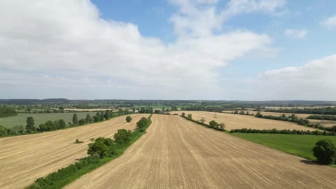 English Meadow Drone Stock Footage 243195800