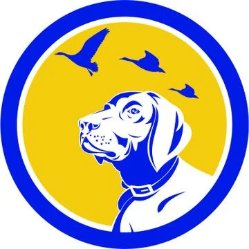 English Pointer Dog Head Looking Up Circle Retro Stock Illustration