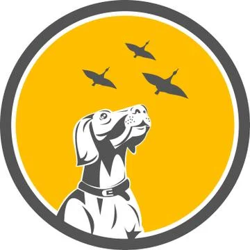English Pointer Dog Looking at Geese Circle Retro Stock Illustration