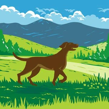 English Pointer Dog with Mount Redfield in the Adirondacks New York WPA Pos.. Stock Illustration