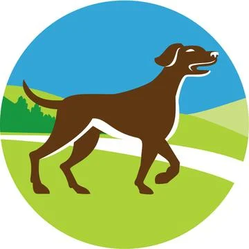  English Pointer Dog Pointing Up Circle Retro Illustration of an english p... Stock Photos
