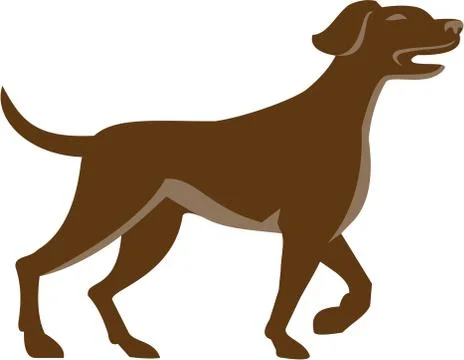 English Pointer Dog Pointing Up Retro Stock Illustration
