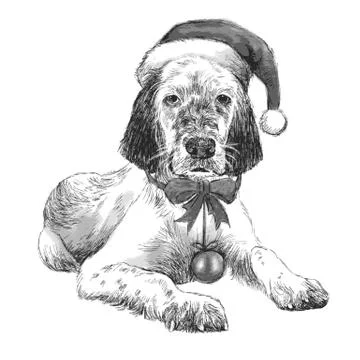 English setter with christmas hat Stock Illustration