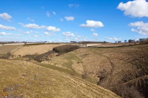 English springtime Stock Photos