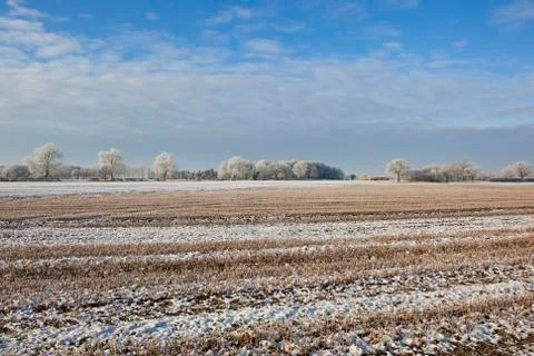 English winter landscape Stock Photos