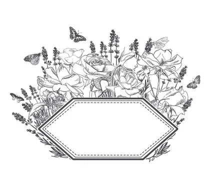 Engrave flowers vector frame sketch meadow design Stock Illustration