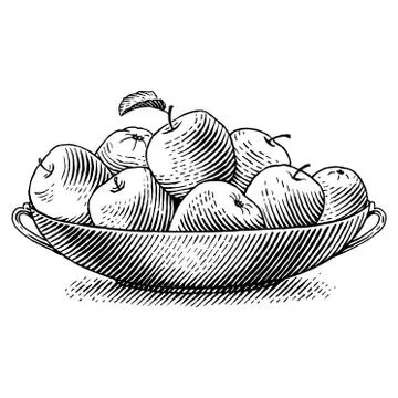 Engraved apples Stock Illustration