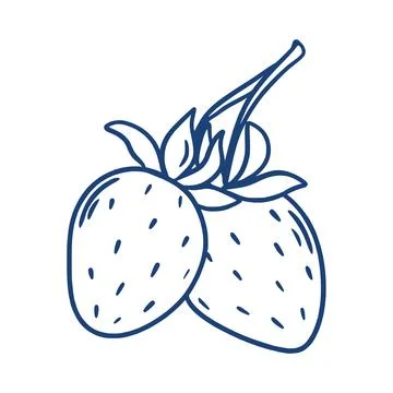 Engraved branch with strawberries Vector graphics Stock Illustration