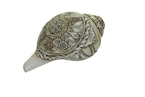 Engraved conch shell used as a ritual object in buddhist and hindu religious  Stock-Fotos