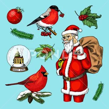 Engraved hand drawn in old sketch and vintage style for label. Merry Christmas Stock Illustration