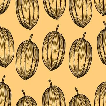 Engraved pattern of cocoa beans 库存插图