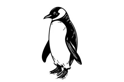 Engraved Penguin Vector Sketch. Cute Winter Illustration, Antarctic Bird. Illustrazione stock
